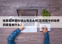 哈希区块链科技公司怎么样[区块链中的哈希到底是做什么]